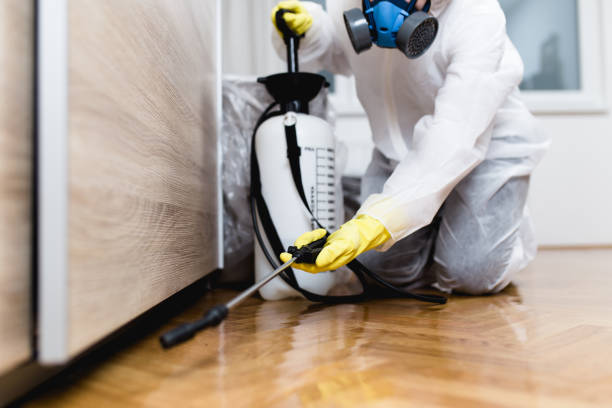 Best Pest Removal Services  in Coronado, CA