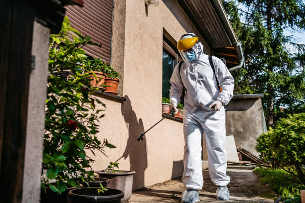 Best Pest Prevention Services  in Coronado, CA