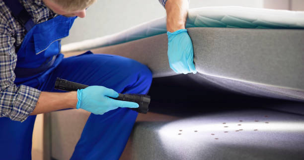Best Commercial Pest Control Services  in Coronado, CA